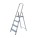 Aluminium Ladder