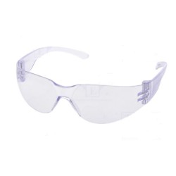 Delta Plus BRAV2IN Safety Glasses