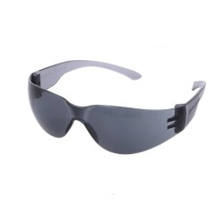 Delta Plus BRAVA2 (Smoke) Safety Glasses