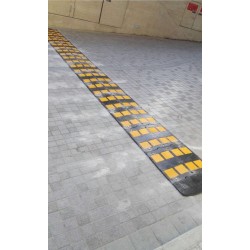 Speed Reduction Ramp