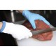 Towa 445 Polyethylene (PE) Gloves