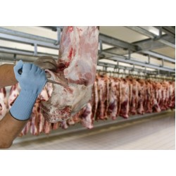 MAPA KryTech 838 High Density Polyethylene (HDPE) Gloves