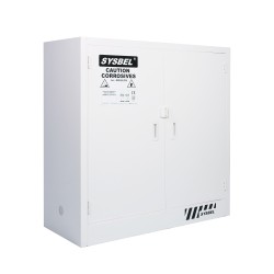 Sysbel ACP810030 30Gal Corrosive Substance Storage Cabinet