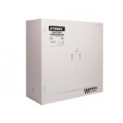 Sysbel® ACP810030 30Gal Corrosive Substance Storage Cabinet