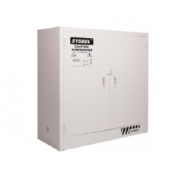 Sysbel ACP810030 30Gal Corrosive Substance Storage Cabinet