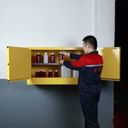 Sysbel WA810170 17Gal Wall Mounted Flammable Cabinet