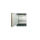 Sysbel® SE490100 10Gal Safety Storage Cabinet